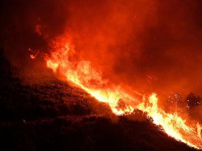 Burning Forest