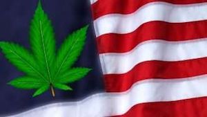 Marijuana bars Naturalization